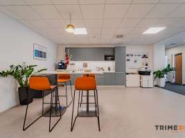 Klimatizované kanceláře, výměra 345  m², 28. října 205/45, Ostrava