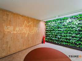 Klimatizované kanceláře, výměra 345  m², 28. října 205/45, Ostrava