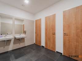 Klimatizované kanceláře, výměra 345  m², 28. října 205/45, Ostrava